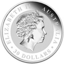 Koala 1 kilo Silver Back