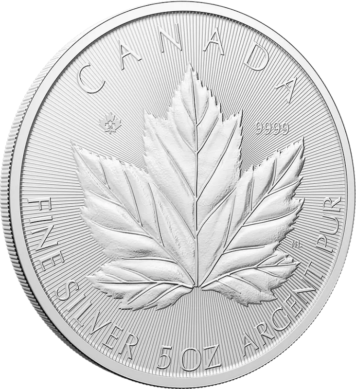 Maple Leaf 5 Unzen Silbermünze 2026