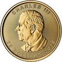 Maple Leaf 1/2 Unze Goldmünze 2026