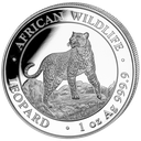 African Wildlife Leopard 1 Unze Silbermünze 2022 | differenzbesteuert