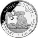 Somalia Elefant 1 Unze Silbermünze 2024 | differenzbesteuert