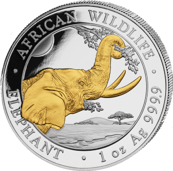 Somalia Elefant 1 Unze Silbermünze 2023 | teilvergoldet