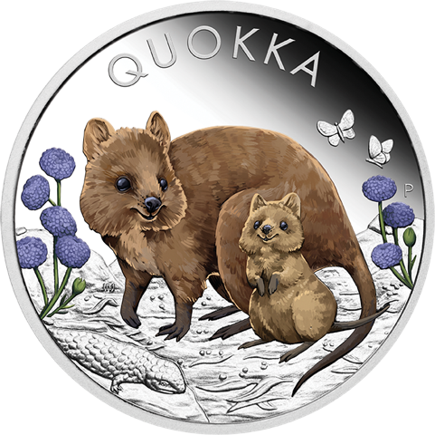 Australien Quokka 1 Unze Silbermünze 2022 coloriert - Proof | differenzbesteuert