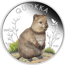 Australien Quokka 1 Unze Silbermünze 2024 coloriert - Proof | differenzbesteuert