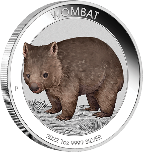 Australien Wombat 1 Unze Silbermünze 2022 coloriert - Coincard | differenzbesteuert