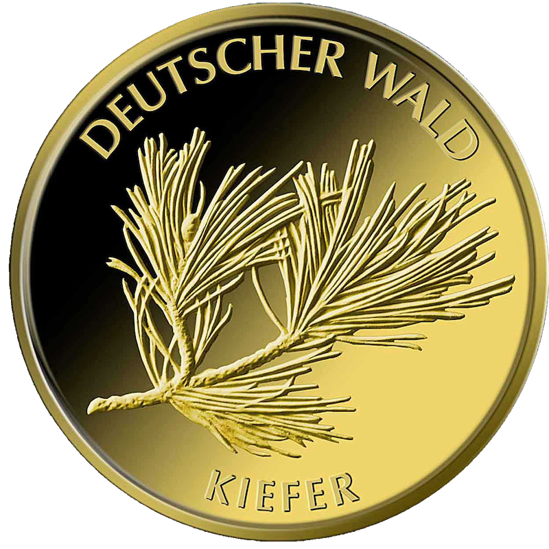 20 Euro Deutscher Wald Kiefer 1/8 oz Goldmünze 2013 (A)