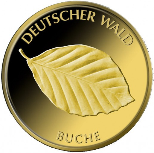 20 Euro Deutscher Wald Buche 1/8 oz Goldmünze 2011 (A)
