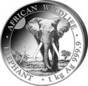 Somalia Elefant 1 Kilo Silbermünze 2025 | differenzbesteuert
